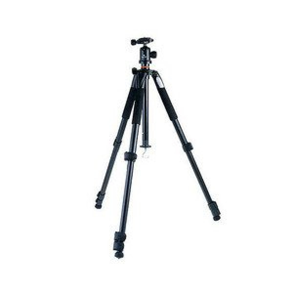 Vanguard 264AB mit Panoramakopf-31
