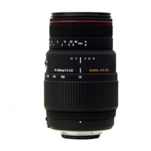 Objektiv 70-300mm F4-5,6 DG APO Makro motorisiert-31