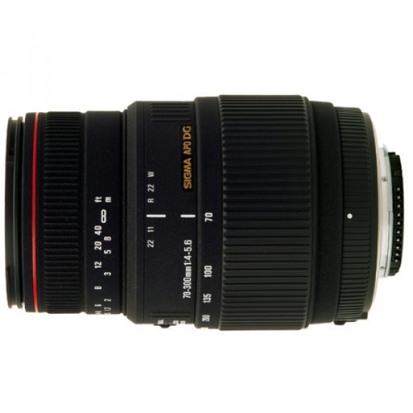 Sigma 70-300 mm F4,0-5,6 DG APO Makro-Objektiv (58 mm Filtergewinde) für Sigma Objektivbajonett-31