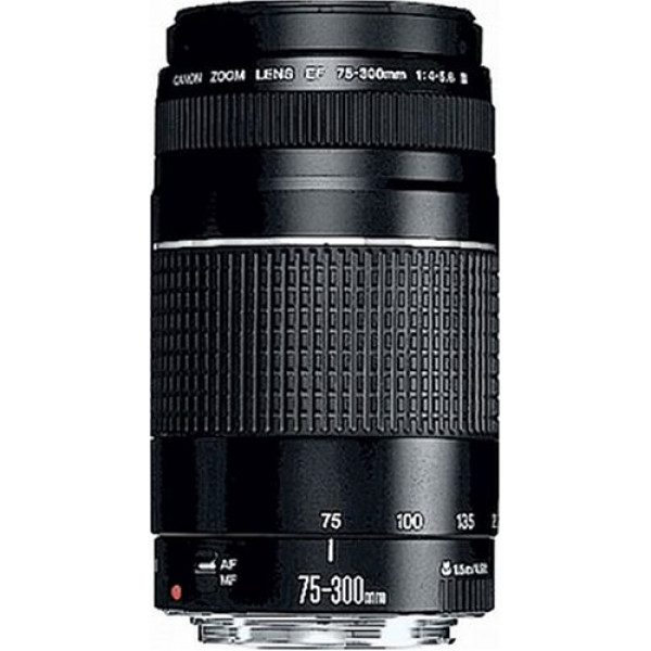 Canon EF 75-300mm/ 4,0-5,6/ III Objektiv-31
