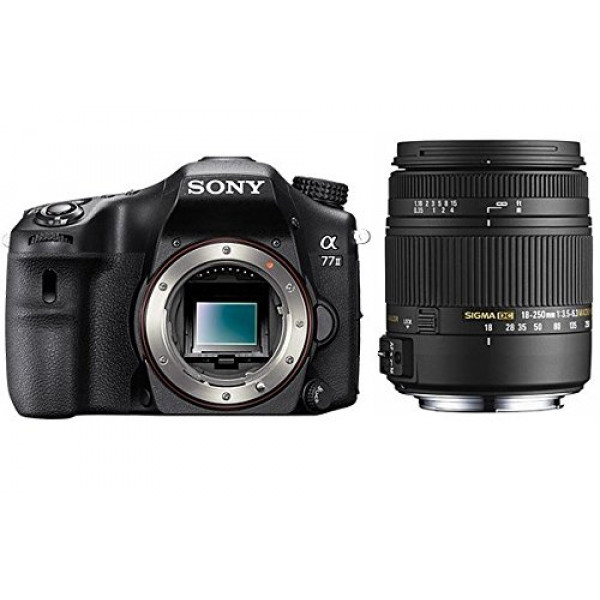 SONY Alpha 77 II + SIGMA 18-250 DC MACRO-31