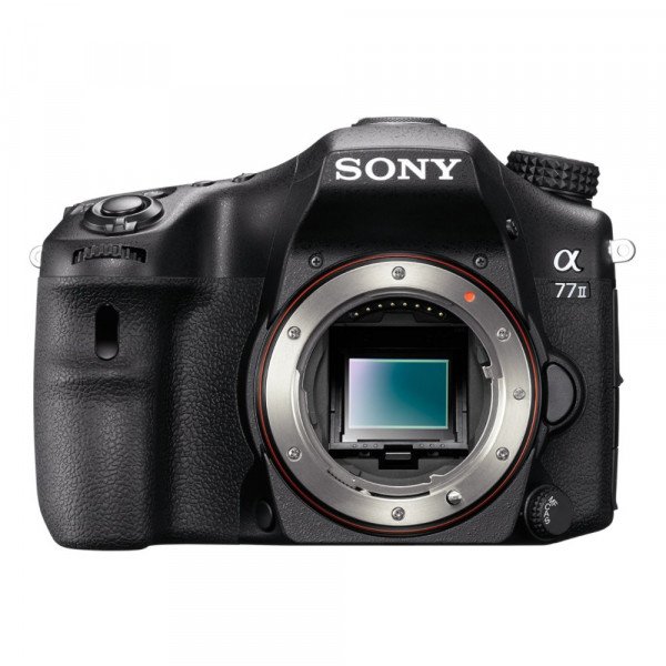 Sony Alpha SLT-A77 II / ILCA-77M2 18-55 / 3.5-5.6 DT SAM (SAL-1855) ( 24.7 Megapixel (3 Zoll Display) )-31
