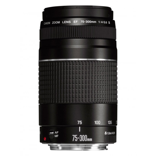 Canon EF DC 4,0-5,6/75-300 III-31