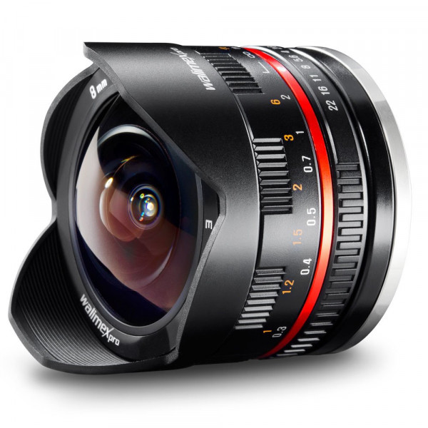 Walimex Pro 8mm 1:2,8 CSC Fish-Eye-Objektiv (feste Gegenlichtblende, UMC Linsen, große Tiefenschärfe) für Sony E Objektivbajonett schwarz-38
