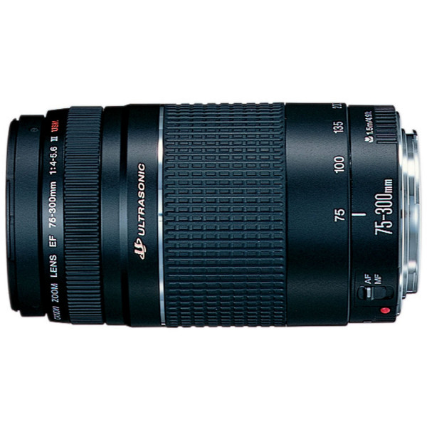Canon EF 75-300 4-5.6 III USM Objektiv für EOS (58 mm Filtergewinde)-34