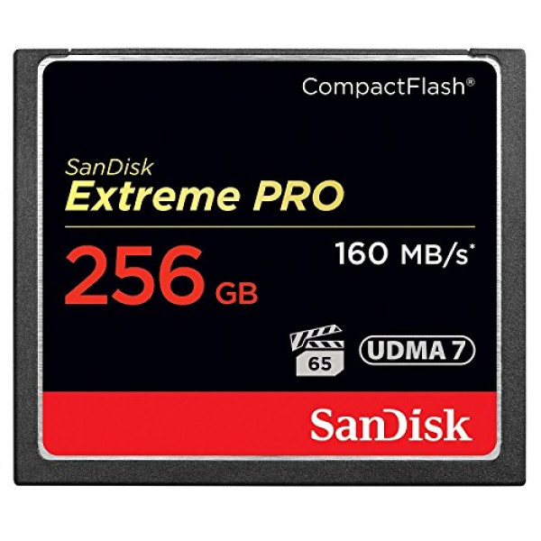 SanDisk Extreme Pro CompactFlash 256GB Speicherkarte (bis zu 160MB/s lesen)-31