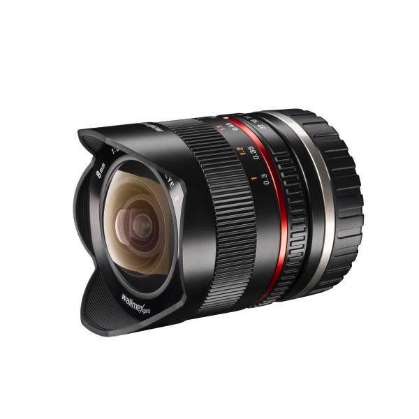 Walimex Pro 8mm 1:2,8 Fish-Eye II CSC-Objektiv (Bildwinkel 180 Grad, MC Linsen, große Schärfentiefe, feste Gegenlichtblende) für Sony E-Mount Objektivbajonett schwarz-37