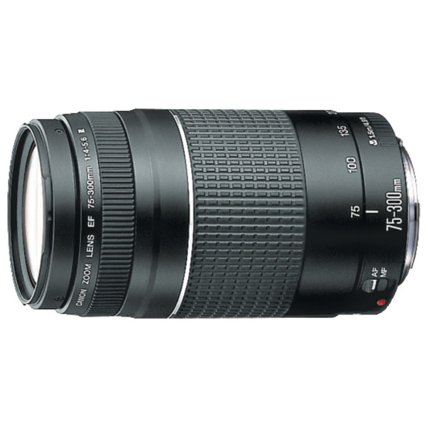 Canon EF 75-300mm F/4-5.6 III Telezoomobjektiv-31