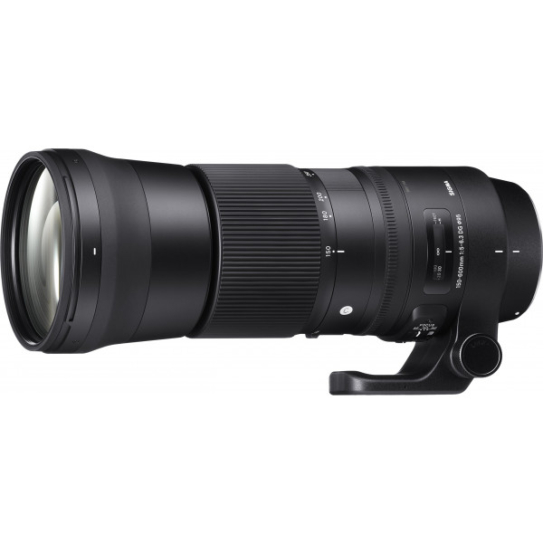 Sigma 150-600mm F5,0-6,3 DG OS HSM Contemporary (95mm Filtergewinde) für Nikon Objektivbajonett-37