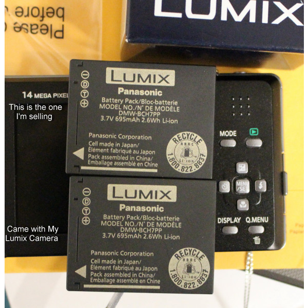 Panasonic DMW-BCH7 Lithium-Ionen Akku für Lumix-32