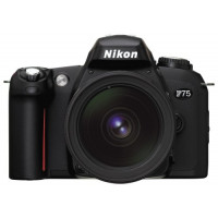Nikon F75 Spiegelreflexkamera schwarz-22