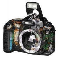 Canon EOS 20D SLR-Digitalkamera (8 Megapixel), nur Gehäuse-22