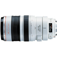 Canon EF 100-400mm f/4.5-5.6L IS USM-21