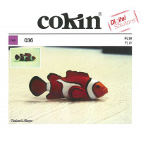Cokin X036 FL-W Filter Größe S-21