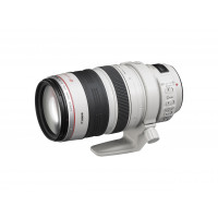 Canon EF 28-300mm/1:3,5-5,6 L IS USM Objektiv (77 mm Filtergewinde, bildstabilisiert)-22