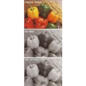 B+W Gelbfilter mittel (77mm, F-PRO)-22