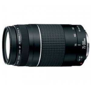 Canon 75-300mm/ 4,0-5,6/ USM Objektiv-21