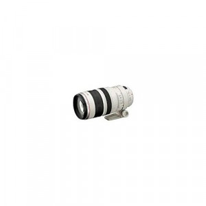 Canon EF 100-400mm f/4.5-5.6L IS USM, 2577A011-21