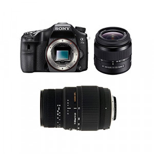 SONY Alpha 77 II + 18-55 SAM + SIGMA 70-300 DG-22