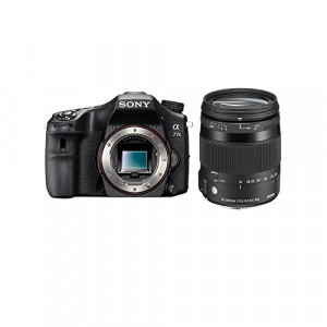 SONY Alpha 77 II + SIGMA 18-200 CONTEMPORARY-22