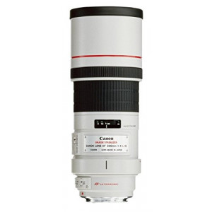 Canon EF 300mm 1:4,0 L IS USM Objektiv (77 mm Filtergewinde)-22