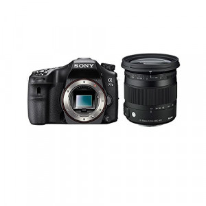 SONY Alpha 77 II + SIGMA 17-70 CONTEMPORARY-22
