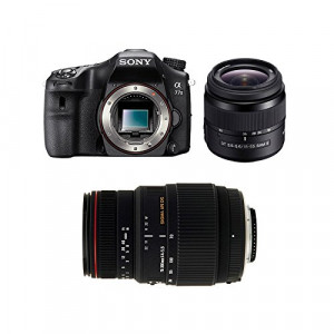 SONY Alpha 77 II + 18-55 SAM + SIGMA 70-300 DG APO MACRO-22