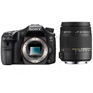 SONY Alpha 77 II + SIGMA 18-250 DC MACRO-21