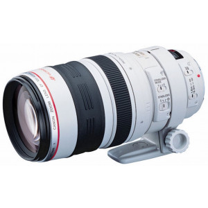 Canon EF 100-400mm f/4.5-5.6 L IS USM Objektiv (77 mm Filtergewinde)-22