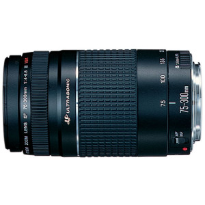 Canon EF 75-300 4-5.6 III USM Objektiv für EOS (58 mm Filtergewinde)-22