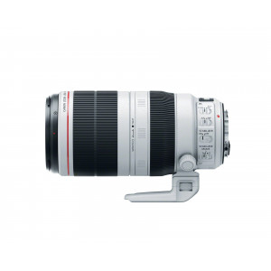 Canon EF 100-400mm f4.5-5.6L IS II USM SLR 2116 Telefoto USM 0,31x Schwarz Weiß (9524B005AA)-22