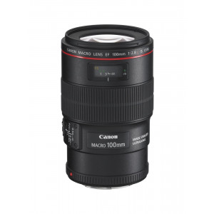 Canon EF 100 mm 2,8 L IS USM Macro-Objektiv (67 mm Filtergewinde, bildstabilisiert) schwarz-22