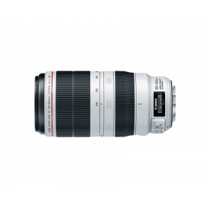 Canon EF 100-400mm f4.5-5.6L IS II USM SLR 2116 Telefoto USM 0,31x Schwarz Weiß (9524B005AA)-22