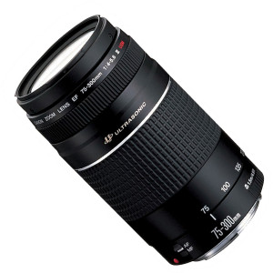 Canon EF 75-300 4-5.6 III USM Objektiv für EOS (58 mm Filtergewinde)-22