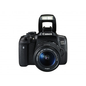 Canon EOS 750D / Rebel T6I / EOS KISS X8I 18-55 / 3.5-5.6 EF-S IS STM ( 24.7 Megapixel (3 Zoll Display) )-22
