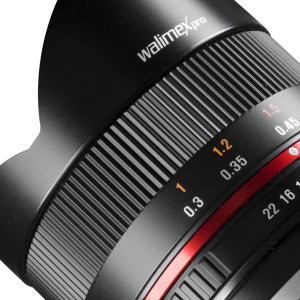 Walimex Pro 8mm 1:2,8 Fish-Eye II CSC-Objektiv (Bildwinkel 180 Grad, MC Linsen, große Schärfentiefe, feste Gegenlichtblende) für Sony E-Mount Objektivbajonett schwarz-22