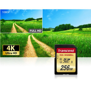 Transcend TS256GSDU3 SDXC 256GB Class 3 Speicherkarte USB 3.0-22
