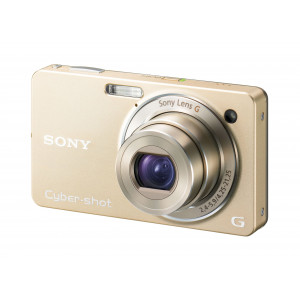 Sony DSC-WX1 Digitalkamera (10 Megapixel, 5-fach opt. Zoom, 6,9 cm (2,7 Zoll) Display, 24mm Weitwinkel, Dämmerungsmodus) gold-22