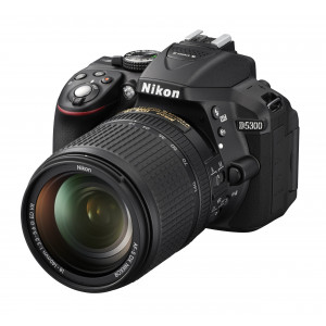 Nikon D5300 18-140 / 3.5-5.6 AF-S G DX ED VR ( 24.78 Megapixel (3.2 Zoll Display) )-22