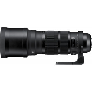 Sigma 120-300 mm f2,8 Objektiv (DG, OS, HSM, 105 mm Filtergewinde) für Nikon Objektivbajonett-22