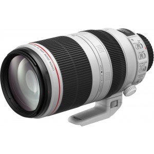 Canon EF 100-400 mm 1:4.5-5.6L IS II USM Objektiv-22