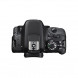 CANON EOS 100D + 18-135 IS STM + SIGMA 70-300 DG APO MACRO + Sac + Carte Sd 4 Go-03