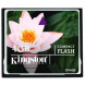Kingston 4 GB Compact Flash Memory Card by Kingston-01