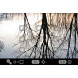 Sigma SD Quattro spiegellose Systemkamera (39 Megapixel, 7,6 cm (3 Zoll) Display, SD-Kartenslot, SDHC-Kartenslot, SDXC-Kartenslot, Eye-Fi-Kartenslot) Kit inkl. 30mm F1,4 DC HSM schwarz-011