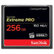 SanDisk Extreme Pro CompactFlash 256GB Speicherkarte (bis zu 160MB/s lesen)-01