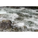 Cokin X153 Neutralgraufilter ND4 Größe S-04