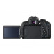 Canon EOS 750D / Rebel T6I / EOS KISS X8I 18-55 / 3.5-5.6 EF-S IS STM ( 24.7 Megapixel (3 Zoll Display) )-010