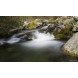Haida Slim PRO II Digital MC Neutral Graufilter Set bestehend aus ND0.6 (4x), ND0.9 (8x), ND1.2 (16x) Filtern Durchmesser 77mm Inkl. Stack Cap Filtercontainer + Cap-05