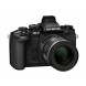 Olympus E-M1 OM-D Systemkamera (16 Megapixel, 7,6 cm (3 Zoll) TFT LCD-Display, Full HD, HDR, 5-Achsen Bildstabilisator) inkl. M.Zuiko Digital ED 12-50mm Objektiv Kit schwarz-07