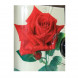 15x PHOTO PORST Hochzeitskamera / Einwegkamera "rote Rose + Ringe" (deutsche Bedienungsanleitung, mit Blitzlicht und Batterien, je 27 Fotos, ISO 400 Fuji)-09